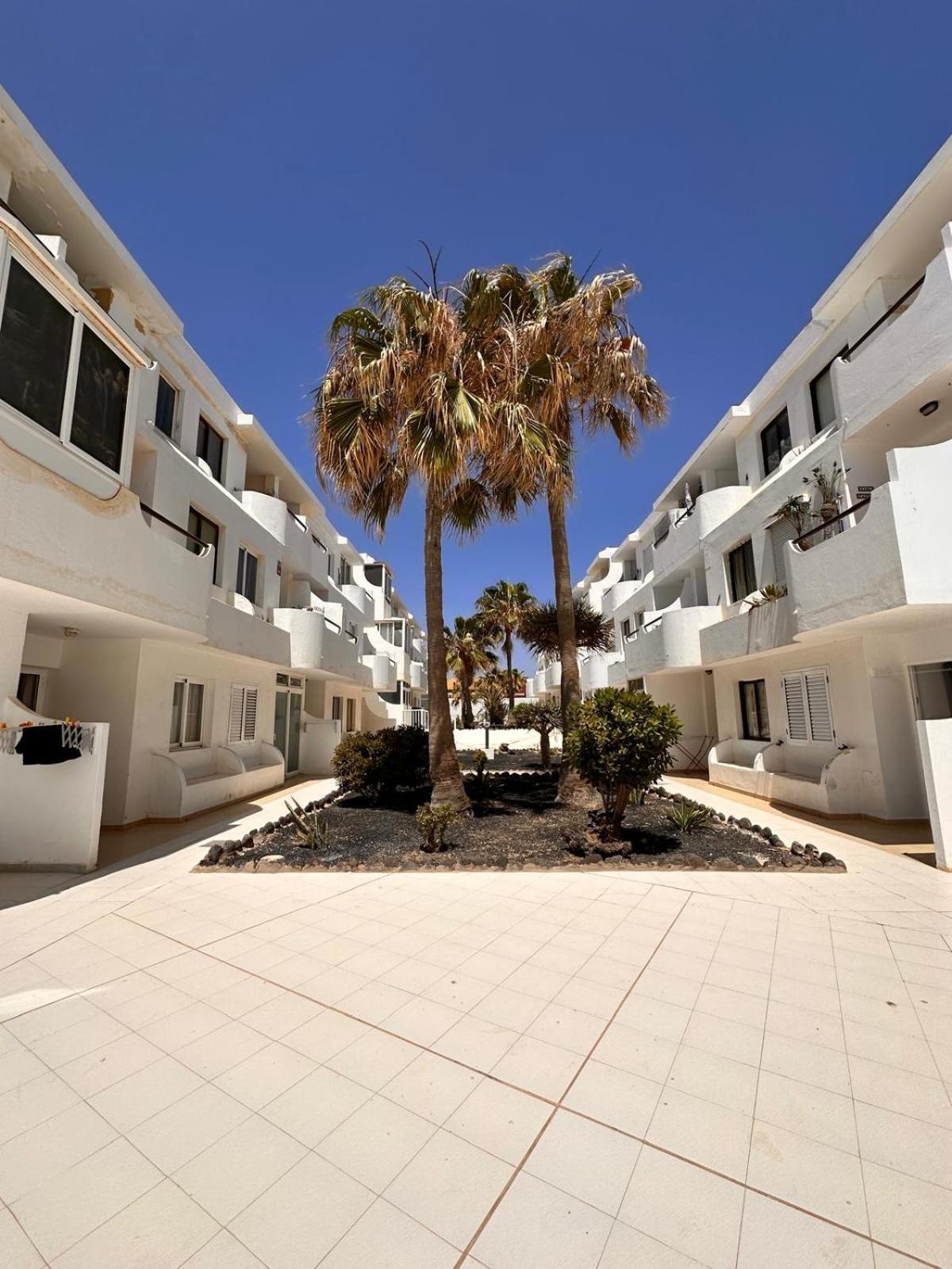 Casa Isabel Apartment Costa De Antigua Ngoại thất bức ảnh
