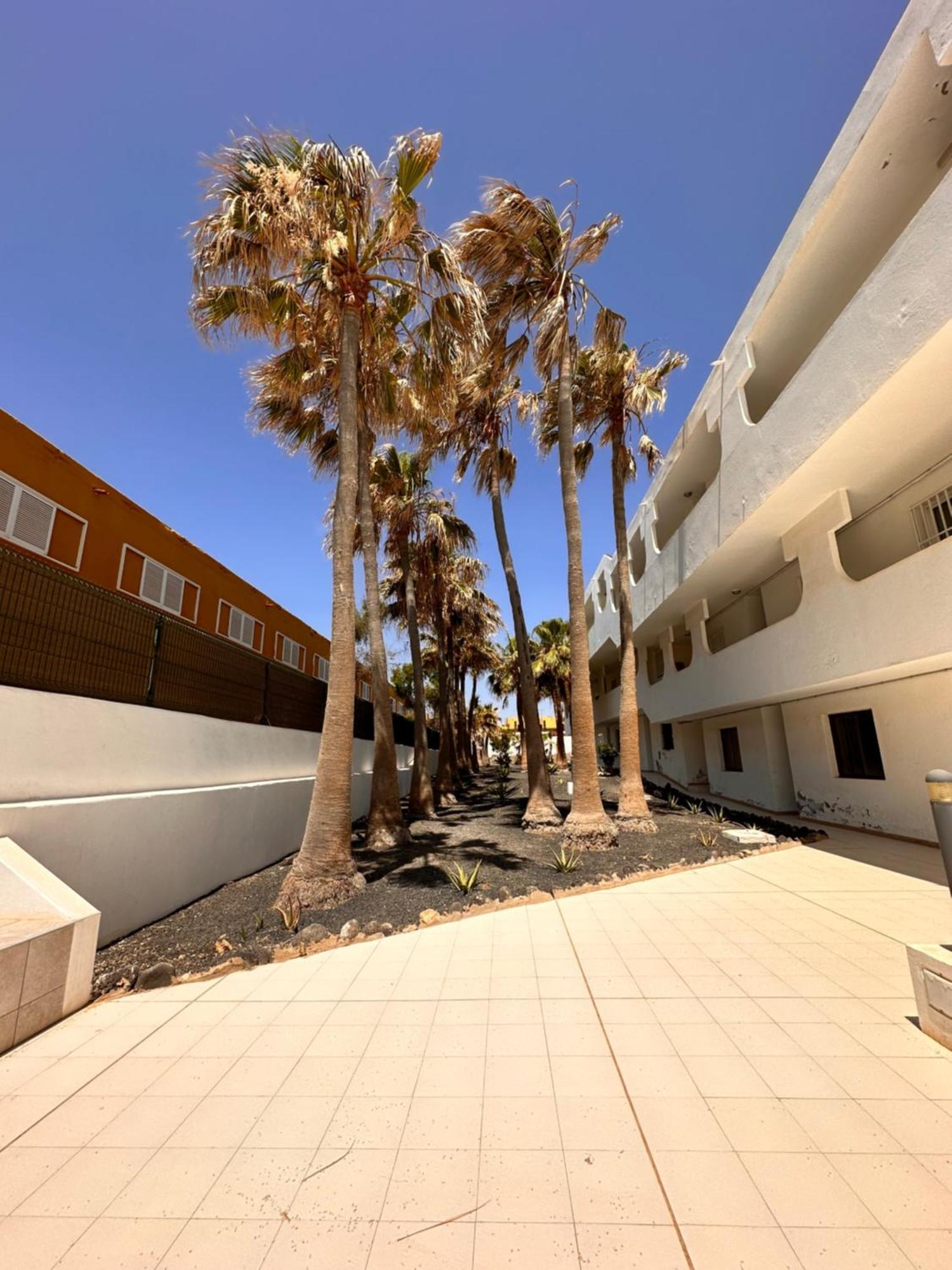 Casa Isabel Apartment Costa De Antigua Ngoại thất bức ảnh